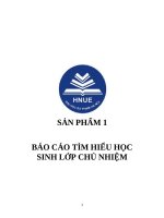 BÁO CÁO TÌM HIỂU HỌC SINH LỚP CHỦ NHIỆM