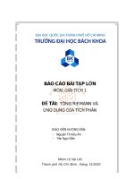 BÁO CÁO BÀI TẬP LỚN MÔN GIẢI TÍCH 1 ĐỀ TÀI TỔNG RIEMANN VÀ ỨNG DỤNG CỦA TÍCH PHÂN