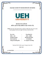 Đề thi Sinh viên viết một tiểu luận cá nhân về chiến lược toàn cầu của một doanh nghiệp Việt Nam do người Việt Nam sở hữu trên 50%