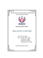 BÁO CÁO XỬ LÝ DỮ LIỆU