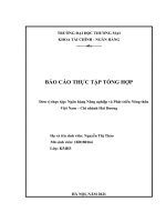 BÁO CÁO THỰC TẬP TỔNG HỢP Đơn vị thực tập Ngân hàng Nông nghiệp và Phát triển Nông thôn Việt Nam – Chi nhánh Hải Dương
