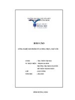 BÁO CÁO CÔNG NGHỆ SẢN PHẨM TỪ LƯƠNG THỰC, NGŨ CỐC