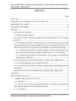 Báo cáo ĐTM Dự án “Nâng cấp, mở rộng đường ven sông Bồ (đoạn Tứ Hạ - Hương Văn - Hương Xuân - Hương Toàn)”