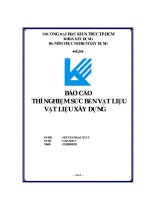 Báo cáo thí nghiệm sức bền vật liệu vật liệu xây dựng