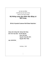 Hệ thống cung cấp nhiên liệu động cơ đốt trong Đề tài Hyundai Common Rail Diesel Injection
