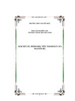Giải mã tác phẩm Độc tiểu thanh ký của