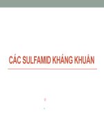Bài 5 - Hóa Dược 1 - Sulfamid Kháng Khuẩn