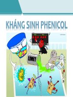 Bài 4 - Hóa Dược 1 - Kháng Sinh Phenicol