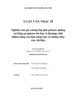Nghiên cứu gia cường lớp phủ polyme phồng nở bằng graphene Đa lớp và khoáng chất nhằm nâng cao khả năng bảo vệ chống cháy của vật liệu