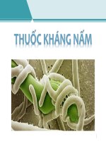 Bài 5 - Hóa Dược 1 - Thuốc Kháng Nấm