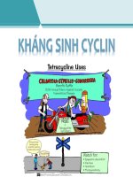 Bài 4 - Hóa Dược 1 - Kháng Sinh Tetracyclin