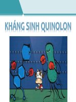Bài 3 - Hóa Dược 1 - Kháng Sinh Quinolon