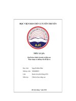 Tiểu luận quyền lực chính trị nước ta hiện nay thực trạng và những vấn Đề Đặt ra