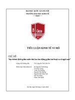 TIỂU LUẬN KINH TẾ VI MÔ đề tài sự chênh lệch giữa mức thù lao lao động giữa hai loại ca sĩ ngôi sao