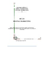 Đề tài  phân tích và xây dựng chiến lược digital marketing sản phẩm nước giặt omo matic của công ty unilever