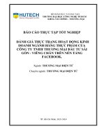 thực trạng hoạt Động kinh doanh ngành hàng thực phẩm của công ty tnhh thương mại Đầu tư sài gòn viêng chăn