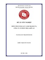 Phân tích năng lực cạnh tranh của Công ty Cổ phần nhựa Kiên An