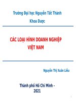 Quản Lý Kinh Tế Dược_Các Loại Hình Doanh Nghiệp Việt Nam