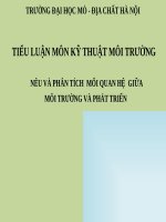 Tiểu luận - kỹ thuật môi trường - đề tài - NÊU VÀ PHÂN TÍCH  MỐI QUAN HỆ  GIỮA MÔI TRƯỜNG VÀ PHÁT TRIỂN 