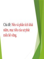 Tiểu luận - kỹ thuật môi trường - đề tài - Nêu và phân tích khái niệm, mục tiêu của sự phát triển bề vững.