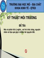 Tiểu luận - kỹ thuật môi trường - đề tài - Nêu và phân tích ý nghĩa , vai trò chức năng, nguyên nhân và hậu quả gây ô nhiễm tài nguyên đất. 