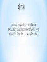 Tiểu luận - kỹ thuật môi trường - đề tài - NÊU VÀ PHÂN TÍCH Ý NGHĨA,VAI TRÒ,CHỨC NĂNG,NGUYÊN NHÂN VÀ HẬU QUẢ GÂY Ô NHIỄN TÀI NGUYÊN RỪNG
