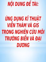Tiểu luận - kỹ thuật môi trường - đề tài - ỨNG DỤNG KĨ THUẬT VIỄN THÁM VÀ GIS TRONG NGHIÊN CỨU MÔI TRƯỜNG BIỂN VÀ ĐẠI DƯƠNG