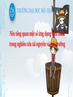 Tiểu luận - kỹ thuật môi trường - đề tài - Nêu tổng quan một số ứng dụng viễn thám trong nghiên cứu tài nguyên và môi trường