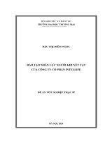 Đào tạo nhân lực người khuyết tật của công ty cổ phần intellife