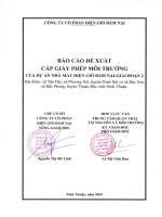 Báo cáo Đề xuất cấp giấy phép môi trường dự Án Điện gió Đầm nại   giai Đoạn 2 của công ty cổ phần Điện gió Đầm nại