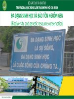 6 bài 6  Các đặc điểm về sinh thái 