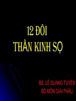Bài giảng 12 Đôi thần kinh sọ