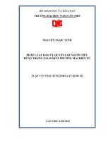 Pháp Luật Bảo vệ quyền lợi người tiêu dùng trong giao dịch thương mại điện tử