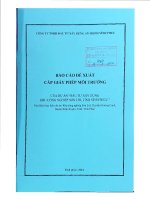 Báo cáo Đề xuất cấp giấy phép môi trường Đầu tư xây dựng khu công nghiệp sơn lôi, tỉnh vĩnh phúc
