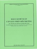 Báo cáo Đề xuất cấp giấy phép môi trường Đối với cơ sở “nhà máy sản xuất bao bì goldsun bắc ninh” của công ty cổ phần in và bao bì goldsun