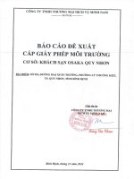 Báo cáo gpmt khách sạn osaka quy nhơn tại số 98a Đường mai xuân thưởng, phường trần phú, thành phố quy nhơn, tỉnh bình Định
