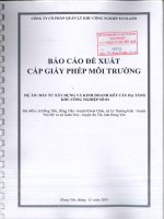 Báo cáo cấp phép môi trường Đầu tư xây dựng và kinh doanh kết cấu hạ tầng khu công nghiệp số 03