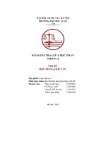 Bài kiểm tra giữa học phần nhóm 12 chủ Đề  hợp Đồng hợp tác