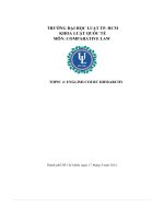 Topic 4  english court hierarchy