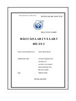 Báo cáo lab 2 và lab 3 Đồ án 2