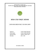 Báo cáo thực hành   chiều thứ 4   nhóm 3