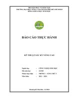 Sắc ký sáng thứ 3, nhóm 2