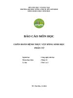 Nhóm 16 chẩn Đoán bệnh thực vật bằng shpt thứ 5 ca 3