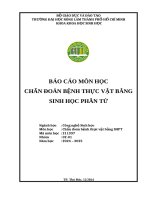 Nhóm 6  chẩn Đoán bệnh thực vật bằng shpt