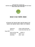 Nhóm 15 chuẩn Đoán bệnh thực vật bằng shpt