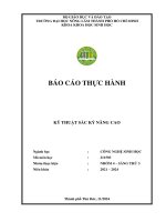 Báo cáo thực hành sắc ký nhóm 4 sáng thứ 3 19 11