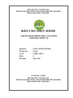 Báo cáo th   cđbtv  chiều thứ 4   nhóm 4