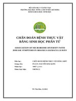 N12 t5 ca3 chẩn Đoán bệnh tv