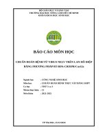 Nhóm 13 thứ 5 ca3 chẩn Đoán bệnh thực vật