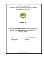 Nhóm 18   chẩn Đoán bệnh thực vật bằng phương pháp sinh học phân tử